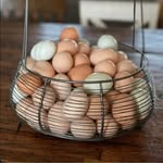 lynn kiser - @lynnkiser11 - Instagram