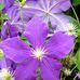 Lynn Klatt - Facebook