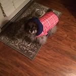 Lynn Ward Knotts - @lynnknotts - Instagram