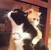 Lynn Kelly Knowles - Facebook