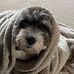 Lynn Knowles - Facebook