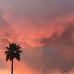 Lynn Koller - @madebylillylou - Instagram