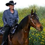 Lynne Koller - @kollerlynne - Instagram