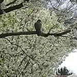 Lynn Koppner - @lynnkoppner - Instagram