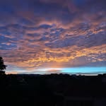 𝐿𝓎𝓃𝓃 - @lynnkoubar - Instagram