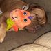 Lynn Kral - Facebook