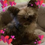 Karen Lynn Krebs - @karenlynnkrebs - Instagram
