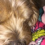 Mckennalynnkrebs - @mckenna_lynn_krebs - Instagram