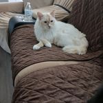 Lynn Kunz - @lynn_kunz - Instagram