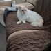 Lynn Kunz - Facebook
