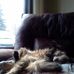 Lynn Kwiatkowski - Facebook