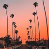 Lachlynn - @lachlynn2969 - TikTok