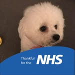 Lynn Lafferty - @lynn.lafferty.79 - Instagram