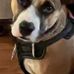 Lynn Lail - Facebook