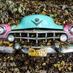 Lynn Lammers - @lynn_lammers11353970 - Instagram