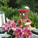 Lynn Lammers - @lynn.lammers.16 - Instagram