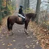 🇳🇱Lynn Lammersen - @lynnlammersen2 - TikTok