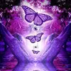 Lynn.Lammers - @lynnhooper12 - TikTok