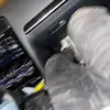 lynnlanded - @lynnlanded - TikTok