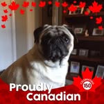 Lynn Landers - @lynnlanders2 - Instagram