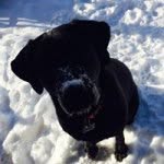 Lynn Landers - @ltldocs - Instagram
