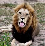 Lyn Langenberg - Facebook