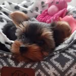 Lynn Langlois - @lynn.langlois.718 - Instagram