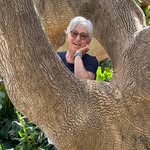 Lynn Gary Lantz - @photoglover67 - Instagram