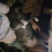 Lynn McCollum-Lasher - Facebook