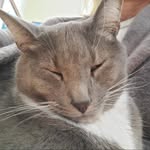 Lynn McCollum-Lasher - @mccollumlasher - Instagram