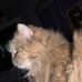 Lynne Lasher - Facebook
