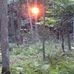 Lynn Lauersdorf - Facebook