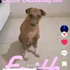 Lynn Law - @lynnlaw01 - TikTok