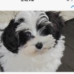 Lynn F Lazzara - @lflazzara - Instagram