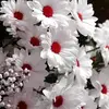 Lynn lea - @lynn.lea7 - TikTok