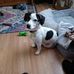 Lynn LeClair Peltier - Facebook