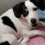 Lynn LeClair Peltier - @traverselake - Instagram