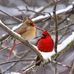 Lynn Lehrman - Facebook