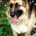Lynn Leist - Facebook