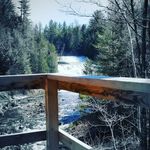 Lynn Lemke - @antiquesrock - Instagram