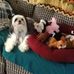 Lynne Lemke - Facebook