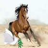 Lynn Lemley - @lynn.lemley - TikTok