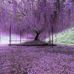 Lynn Lemley - Facebook
