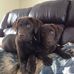Lynn Lemley - Facebook