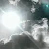 lynn.lehner - @_lynn.lehner_ - TikTok