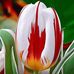 Lynn Lessard - Facebook