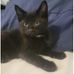 Lynn Lessard - Facebook