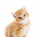 Lynn Lessard - Facebook