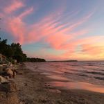 Lynn Levine - @lynnvfl - Instagram