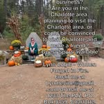 Lynn Levine - @lynn_levine_ - Instagram